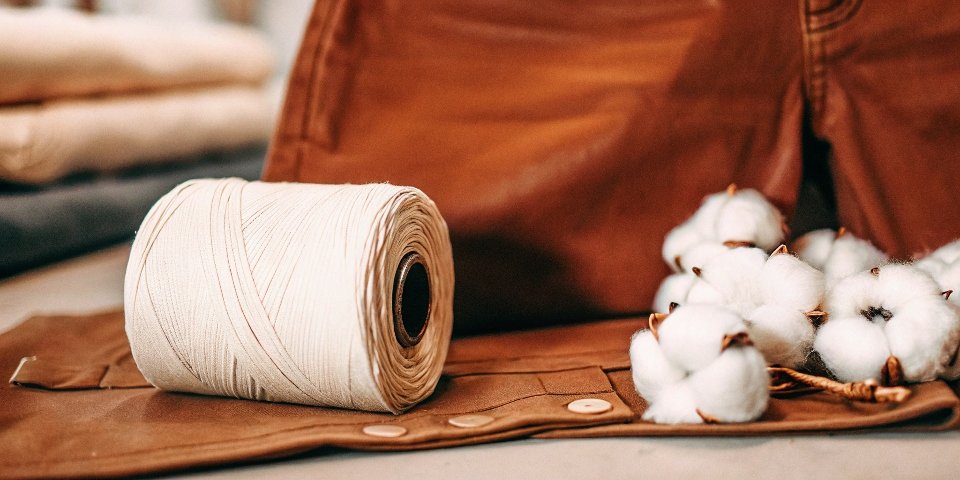 A bolt of natural, undyed ecru denim fabric sitting next to a small pile of raw cotton bolls.