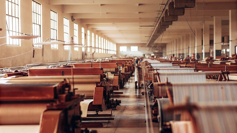 A vast, modern weaving facility with hundreds of industrial looms in operation.