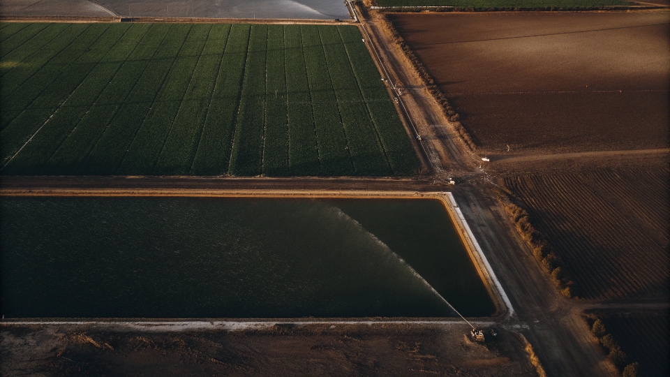 An aerial view of a large, irrigated cotton farm