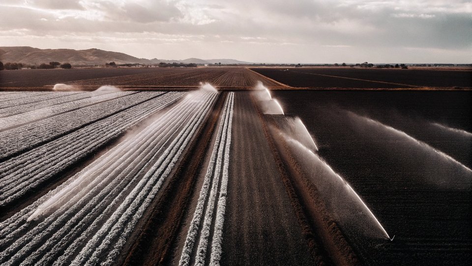 An aerial view of a cotton field being irrigated