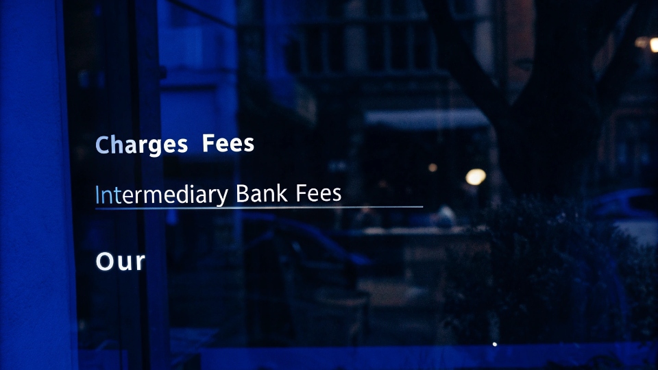 Understanding International Wire Transfer Fees An annotated screenshot of a wire transfer form highlighting the 'Charges' or 'Fees' section.