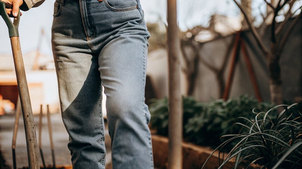 Breaking in New Jeans A person wearing stiff new jeans while doing some light gardening or walking.